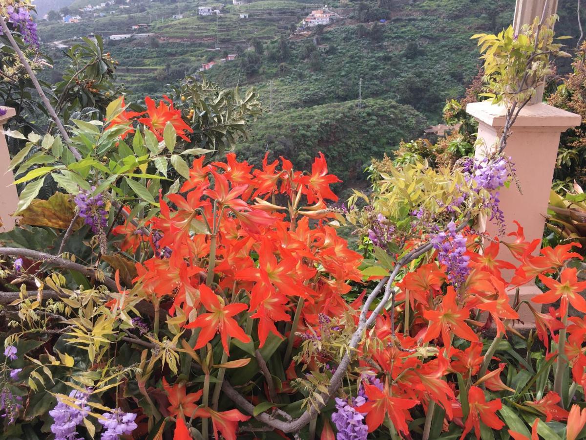 산타크루즈데라팔마 Casa Ayane 빌라 외부 사진